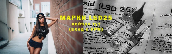 ПСИЛОЦИБИНОВЫЕ ГРИБЫ Беломорск