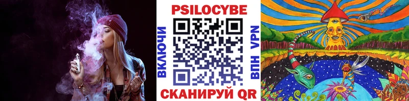 мега ссылка  купить наркоту  Светлогорск  Псилоцибиновые грибы Magic Shrooms 